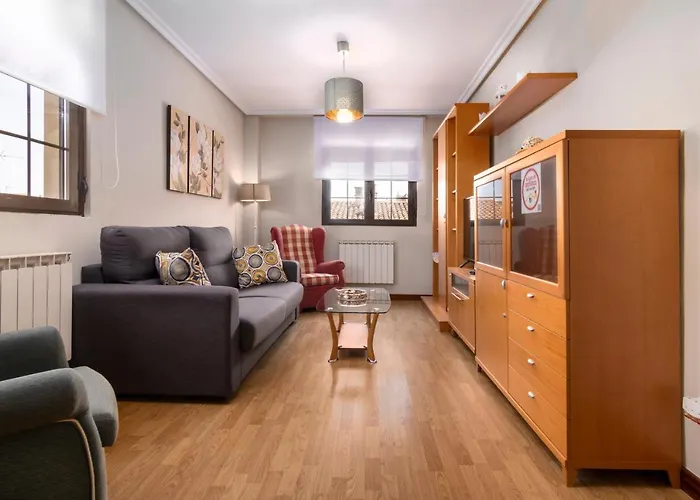 Cano Badillo - Plaza Mayor - Leonapartamentos Appartement León